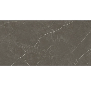 Porcelanato Retificado Splendor Taupe 61 x 120 cm Helena