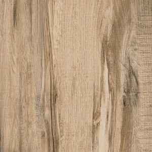 Porcelanato Retificado Ecotech Carvalho 61 x 61 cm Gaudi